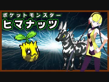【実況】ヒマナッツがひん死になったら現実で向日葵を育てる縛り（BW版・Part⑩）