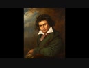Ludwig van Beethoven - "No.9 Theme Lofi Hirohide Ave Arrange Edition"