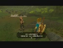 ゼルダの伝説　ブレス オブ ザ ワイルド　実況プレイPart39