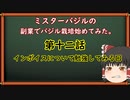 第十二話ミスターバジルの副業でゆっくりバジル栽培始めてみた。
