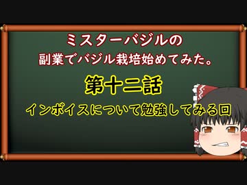第十二話ミスターバジルの副業でゆっくりバジル栽培始めてみた。