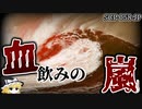 【ゆっくり解説】飲み込まれたら終わり。体が溶け… 血飲みの嵐 SCP-058-JP