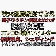 京大福島教授でさえ自分の子供のワクチン接種を止められなかった。ワクチン危険やめろ説得は無理。シェディングか？ケムトレイルか？エアコンが壊れフィルターにベトッとしたものが付着。うつみんも毒が撒かれている