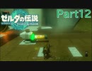 【常】ゼルダの伝説 ティアーズ オブ ザ キングダム 実況プレイ Part12