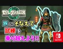 【ゼルダの伝説ティアーズオブザキングダム実況】ハイラルに再び異変が？新たな旅にでます！part33