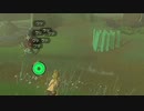 【ティアキン】依頼を受けて、コログを丸めて団子にしてボーリングをしてみた【ドリカラ】【ボイスピ実況,ゼルダの伝説ティアーズオブザキングダム,TotK,ゼル伝】