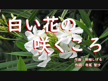白い花の咲くころ