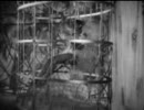 JOSEPHINE BAKER -  Haïti (1934)
