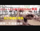 家畜化実験　家畜化の進化を超短縮で再現した偉業　見えてきたもの自己家畜化現象ー恐怖反応も野生動物にくらべて著しく低下遅延にぶい　家畜とは支配するものにとってコントローラブルである事だ　