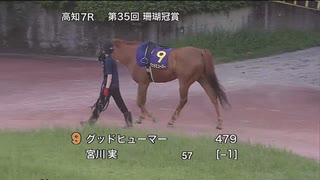 日本トーター株式会社賞 ＪＢＣクラシック指定競走 第35回珊瑚冠賞 パドック～本馬場入場