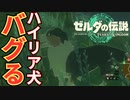 【ゼルダの伝説Totk】このハイラルで一番自由な奴が勇者だ！！【実況】Part２２