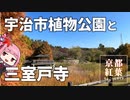 京都紅葉ちょこっとガイド「宇治市植物公園と三室戸寺」