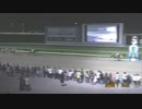 第4回ＯＲＯオータムティアラ（コパノリッキー賞） ミニアチュール