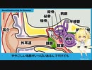 初歩の音響　03　耳について 【Sound Engineering for Dummyz】