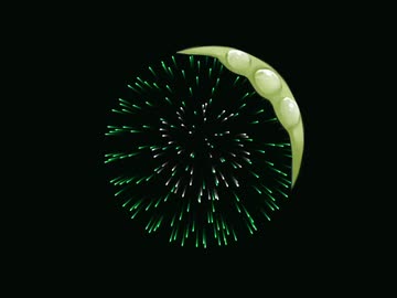 ずんだ色の花火