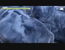 【天穂のサクナヒメ】穀物を啄み育てる鳥頭【part 12】