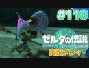 【実況】大空を翔る。ゼルダの伝説ティアーズオブザキングダム 実況プレイ！Part110【ゼルダの伝説TotK】