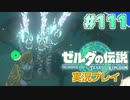 【実況】大空を翔る。ゼルダの伝説ティアーズオブザキングダム 実況プレイ！Part111【ゼルダの伝説TotK】