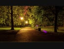 夜の公園 Park at night 【フリーBGM】