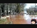 【ゆっくり朗読】ゆっくりさんと世界事件簿 その289