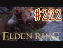【初見実況】 考察しながら王になる　その２２２ 【 ELDEN RING 】