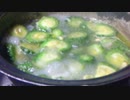 ゴーヤカレーで晩酌　結果ガラムマサラ大量投下であて的には最高　ましそよ～