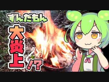 焚き火をするのだ！！！【ずんだもん解説（？）】