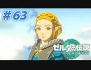 【実況】果てなき冒険は、大空へ広がる【ゼルダの伝説 ティアーズオブザキングダム】＃63