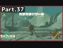 【ゼルダの伝説TotK】Part.37 砂塵吹き荒ぶバザール【実況】
