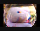 BUTA THE BUTATAN LIMBO