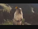 【AC6】登攀【第2回ボイスソフトキャラクター ソロ実況祭】