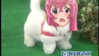 (Mad)愛犬ロボ おとめちゃん