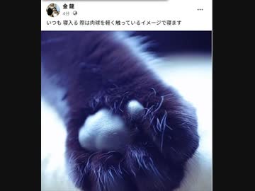 にゃんこさんで 寝入りを良くする