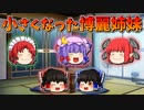 【ゆっくり茶番】小さくなった博麗姉妹