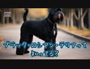 ブラック・ロシアン・テリアって知ってる？