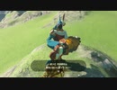 ゼルダの伝説　ブレス オブ ザ ワイルド　実況プレイPart41