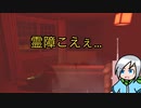 呪われてもおかしくないことをやりだす幽霊調査員〈Phasmophobia〉
