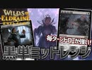 【MTGアリーナ：スタンダード】2マナのファイレクシアの闘技場！？駆け抜け候の祝福で引きまくる黒単ミッドレンジ！【エルドレインの森】