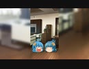 【ゆっくり茶番】変顔しかしないラッコ