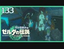 #133【ゼルダの伝説ティアーズオブザキングダム】ちょっと世界を翔けてくる【実況プレイ】