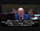 ワシリー・ネベンジャ国連大使　「貪欲なアメリカが、『平和』の名の下に、この極めて儲かるビジネスプロジェクトを放棄すると期待できるだろうか？」