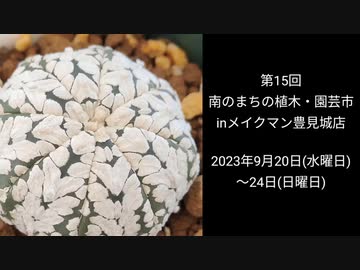 第15回南のまちの植木・園芸市散策してきた♪2023年9月24日まで開催中！