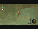 【ゼルダの伝説】マイペースに行くリンクと引きこもり#33後編【ブレスオブザワイルド】
