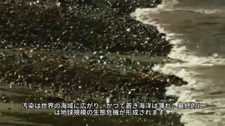 #核廃水 私たちの共通の家である海を守り、福島原発廃水の排出を即時中止しましょう