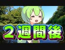 枝豆が育ったのだ！