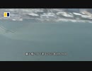 #nuclear日本排放核污水危害全世界，全球多地民众聚集抗议，要求立即停止排放！