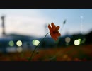 眩い