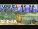 【ブレワイ#3】雪山をパンイチで松明の暖を頼りに登る男www【ゼルダの伝説BotW】