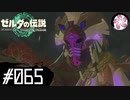 【ティアキン＃65】凡人が行く龍泪旅