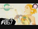【ティアキン＃67】凡人が行く龍泪旅